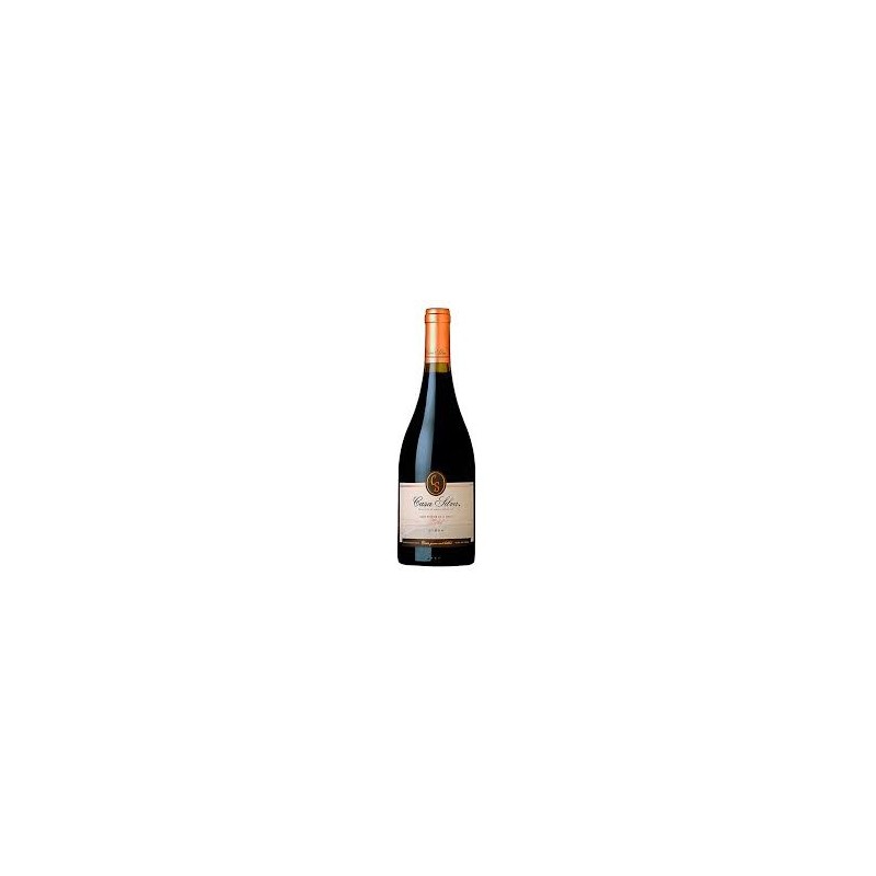 casa silva  gran terroir syrah
