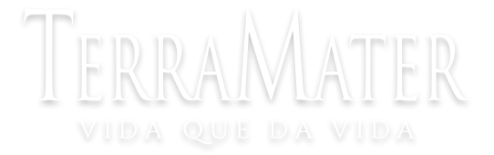 Terramater